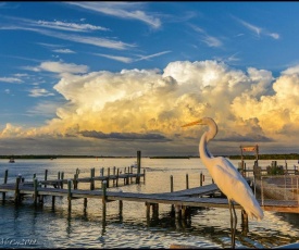 Whispers Affordable Beach Condos - Treasure Island